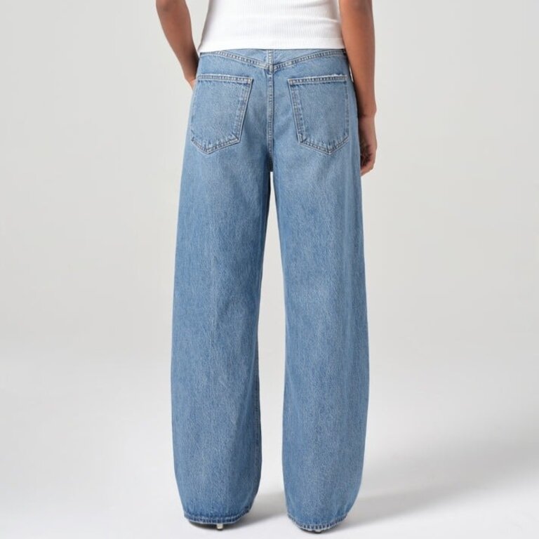 Agolde Low Curve Jean In Fairway