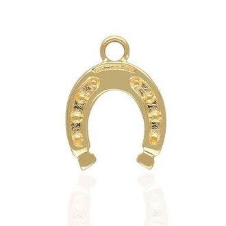 Linked by Society Jewelry PJ 14K YG  Large Horseshoe Charm