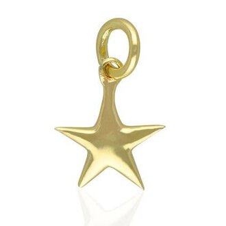Linked by Society Jewelry PJ 14K YG Star Charm