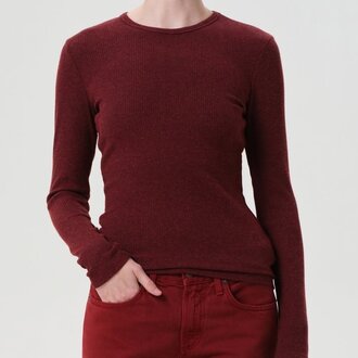 Agolde Delphi Slim Tee Brick