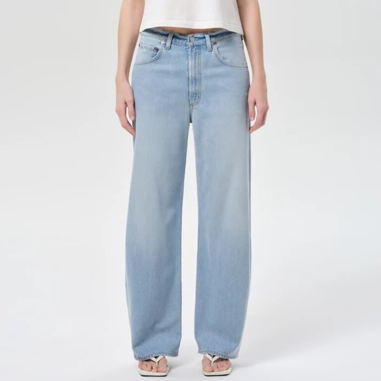 Agolde Low Curve Jean in Memory