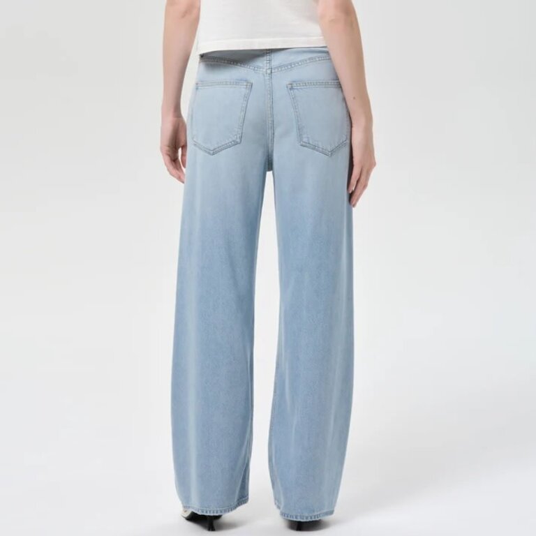 Agolde Low Curve Jean in Memory