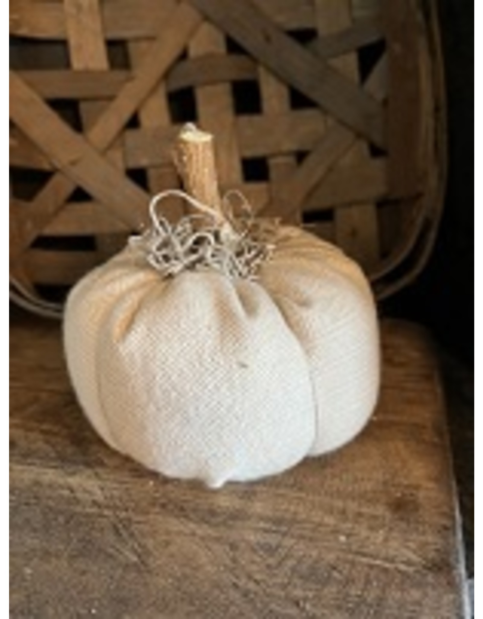 2140 Cream color pumpkin