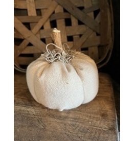 2140  Cream color pumpkin