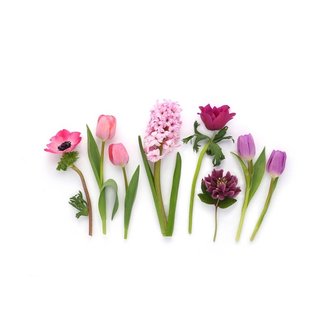 BOTTLE BRANCH Pink Spring Flowers Card