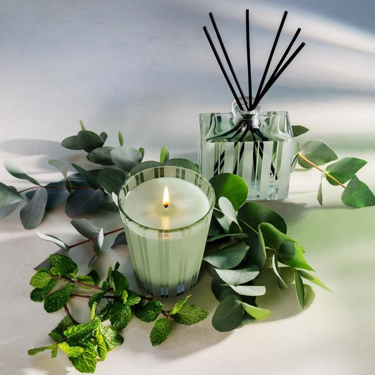 NEST NEST Wild Mint & Eucalyptus Classic Candle