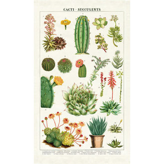 CAVALLINI PAPERS & CO. Succulents Tea Towel