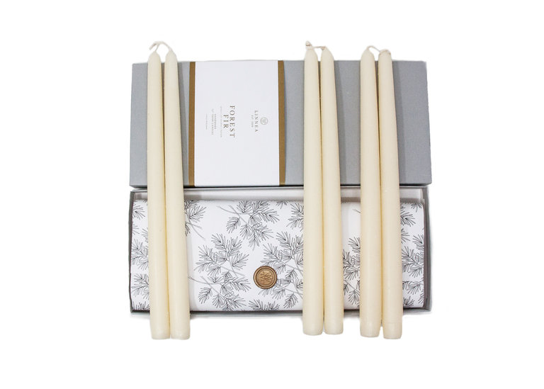 LINNEA LINNEA'S LIGHTS Forest Fir 12" Beeswax Taper Box