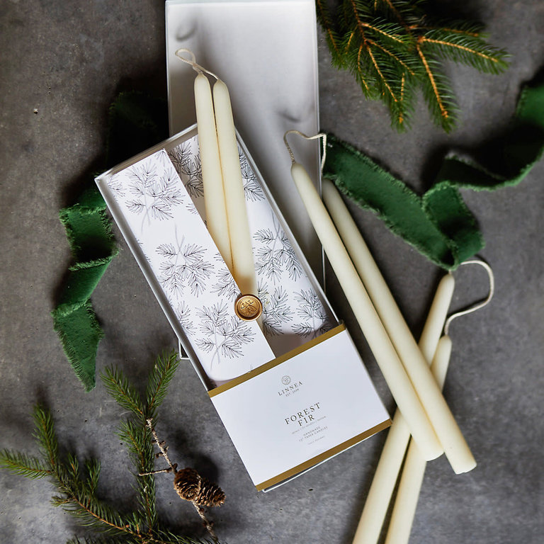 LINNEA LINNEA'S LIGHTS Forest Fir 12" Beeswax Taper Box