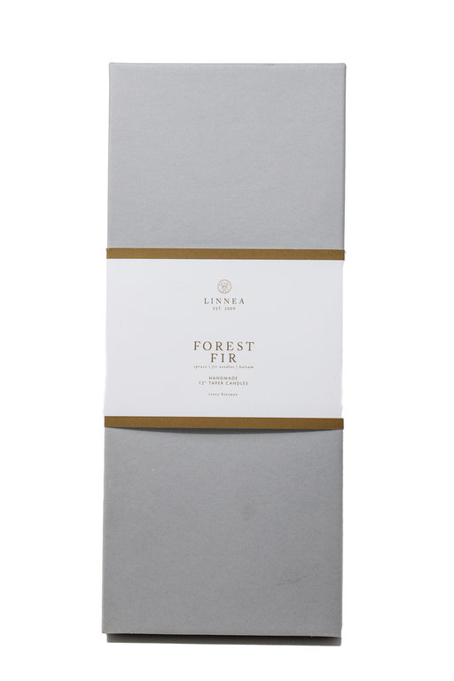 LINNEA LINNEA'S LIGHTS Forest Fir 12" Beeswax Taper Box