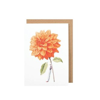HESTER & COOK Orange Dahlia Greeting Card