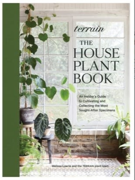 HACHETTE BOOK GROUP HACHETTE BOOK GROUP  Terrain: The Plant Book