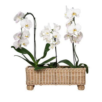 JULISKA Provence Rattan 20" Rectangle Planter, Whitewash