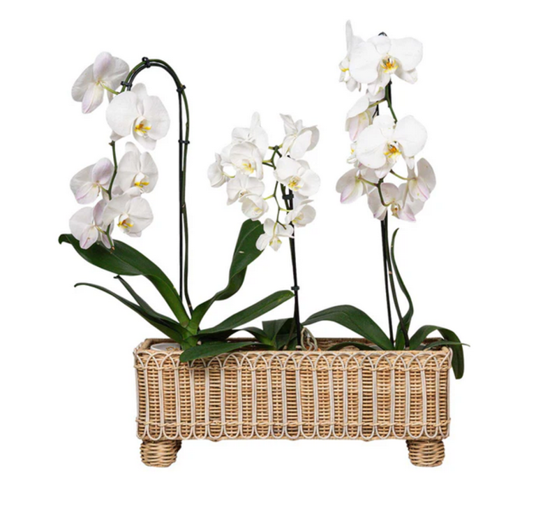 JULISKA JULISKA Provence Rattan 20" Rectangle Planter, Whitewash