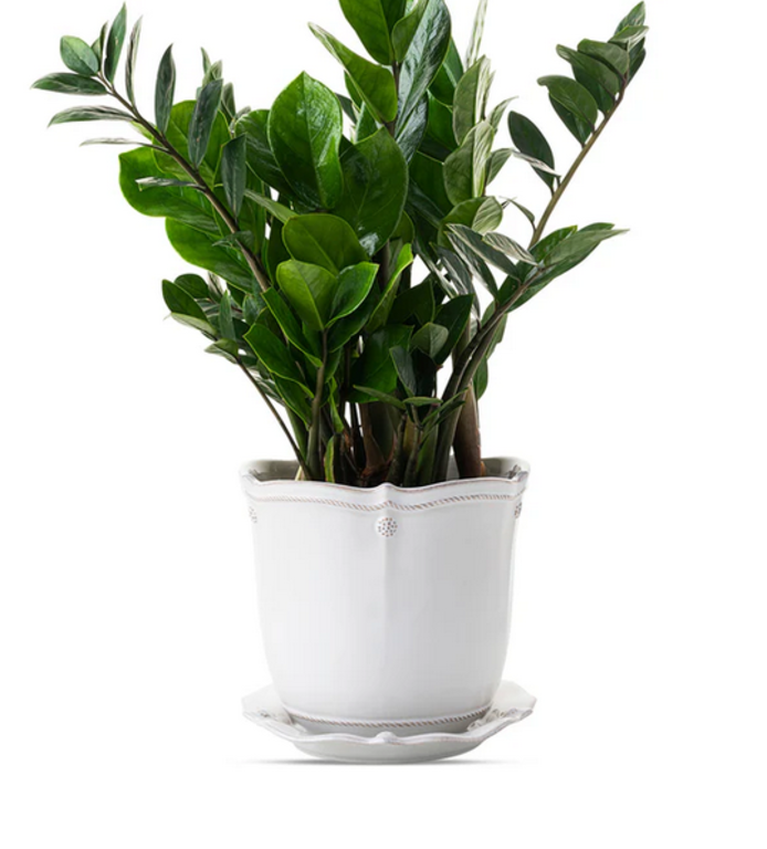 JULISKA JULISKA Berry & Thread 7" Whitewash Planter & Saucer