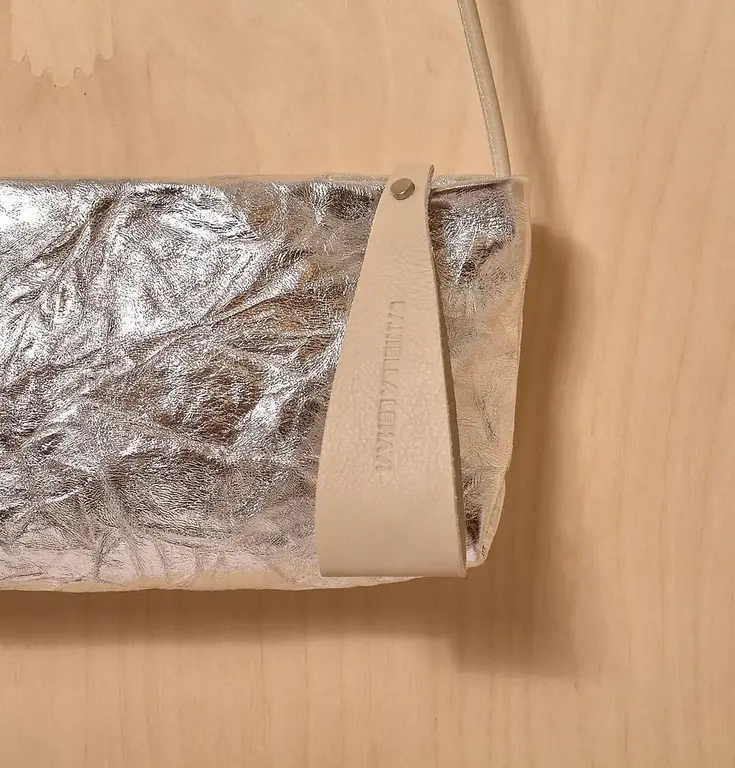 DANIELLA LEHAVI Vega Small Clutch, Wrinkled Silver,