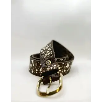 B. BELT Sterora Gold Star Belt