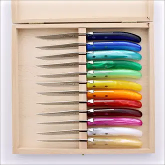 CLAUDE DOZORME 12 Piece Assorted Color Steak Knife Set