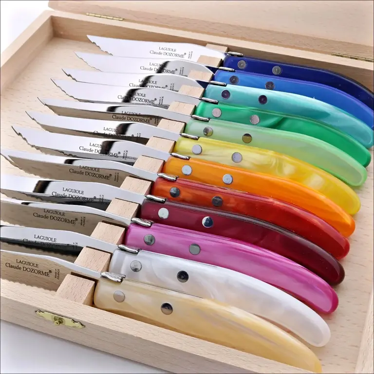 CLAUDE DOZORME CLAUDE DOZORME 12 Piece Assorted Color Steak Knife Set