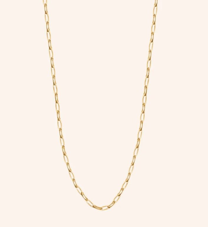 MONICA RICH KOSANN MONICA RICH KOSANN "Stevie" Delicate Open Link Chain
