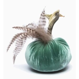 HOT SKWASH 4" Velvet Pumpkin with Feather Plume, Lagoon