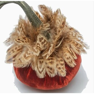 HOT SKWASH 6" Silk Velvet Pumpkin with Pheasant Collar