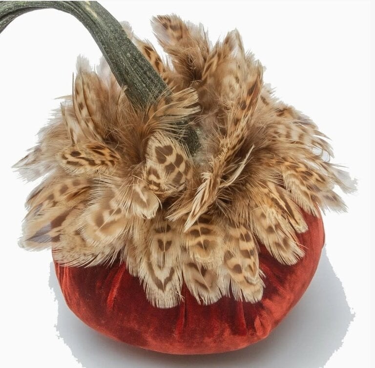 HOT SKWASH HOT SKWASH 6" Silk Velvet Pumpkin with Pheasant Collar