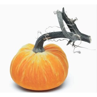 HOT SKWASH 3" Silk Velvet Pumpkin, Carrot