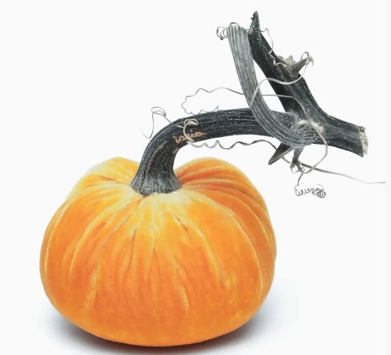 HOT SKWASH HOT SKWASH 3" Silk Velvet Pumpkin, Carrot
