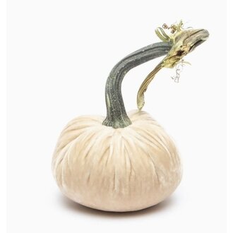 HOT SKWASH 3" Silk Velvet Pumpkin, Cream