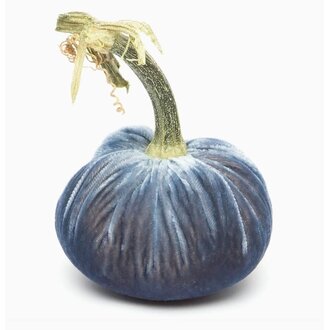 HOT SKWASH 5" Silk Velvet Pumpkin, Denim