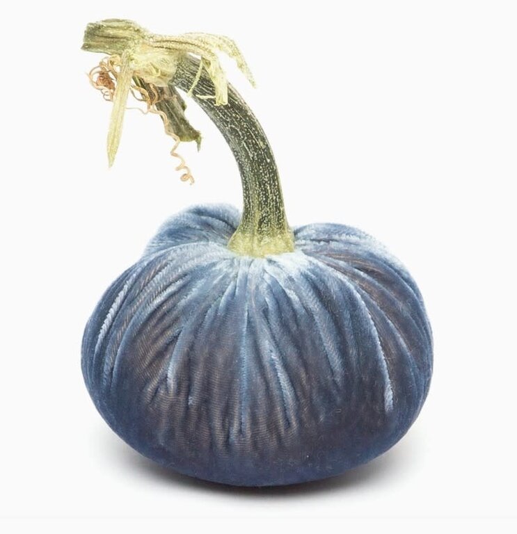 HOT SKWASH HOT SKWASH 5: Silk Velvet Pumpkin, Denim