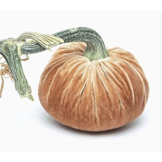 HOT SKWASH 3" Silk Velvet Pumpkin, Latte
