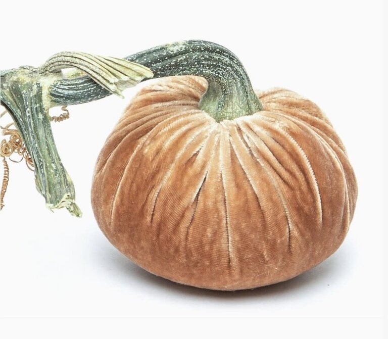 HOT SKWASH HOT SKWASH 3" Silk Velvet Pumpkin, Latte
