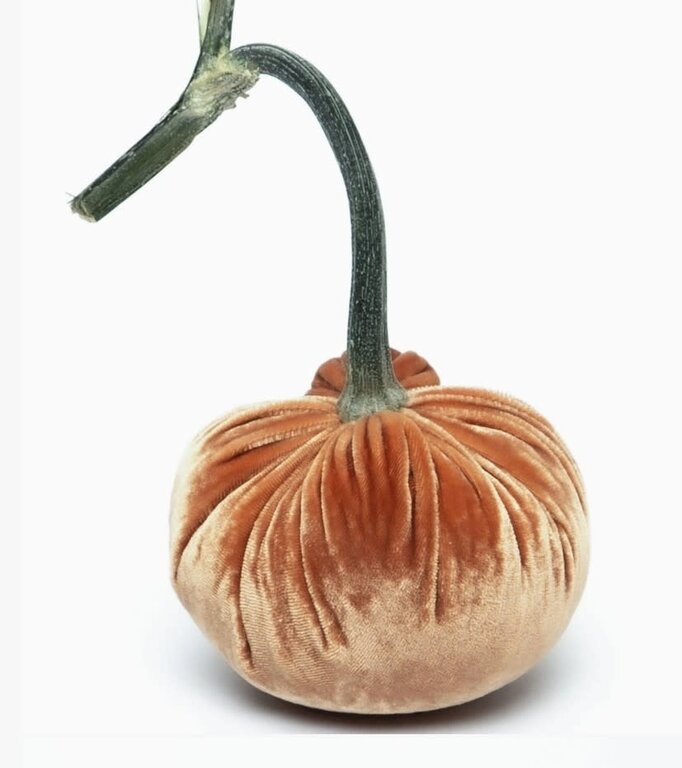 HOT SKWASH HOT SKWASH 4" Silk Velvet Pumpkin, Spice