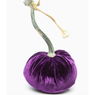 HOT SKWASH 4" Silk Velvet Pumpkin, Violet