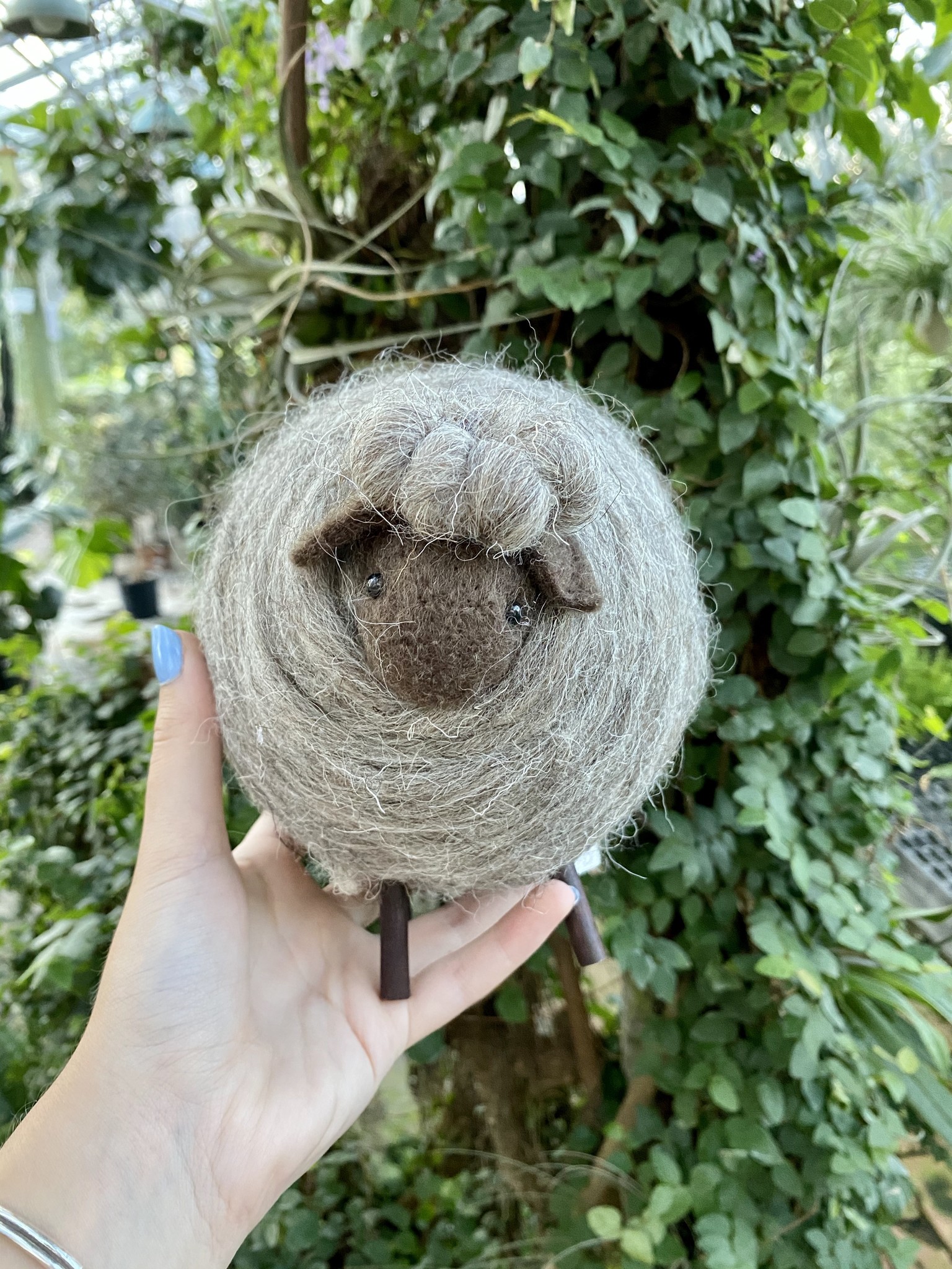 Grey Sheep, 6.5"H - Kent Greenhouse & Gardens