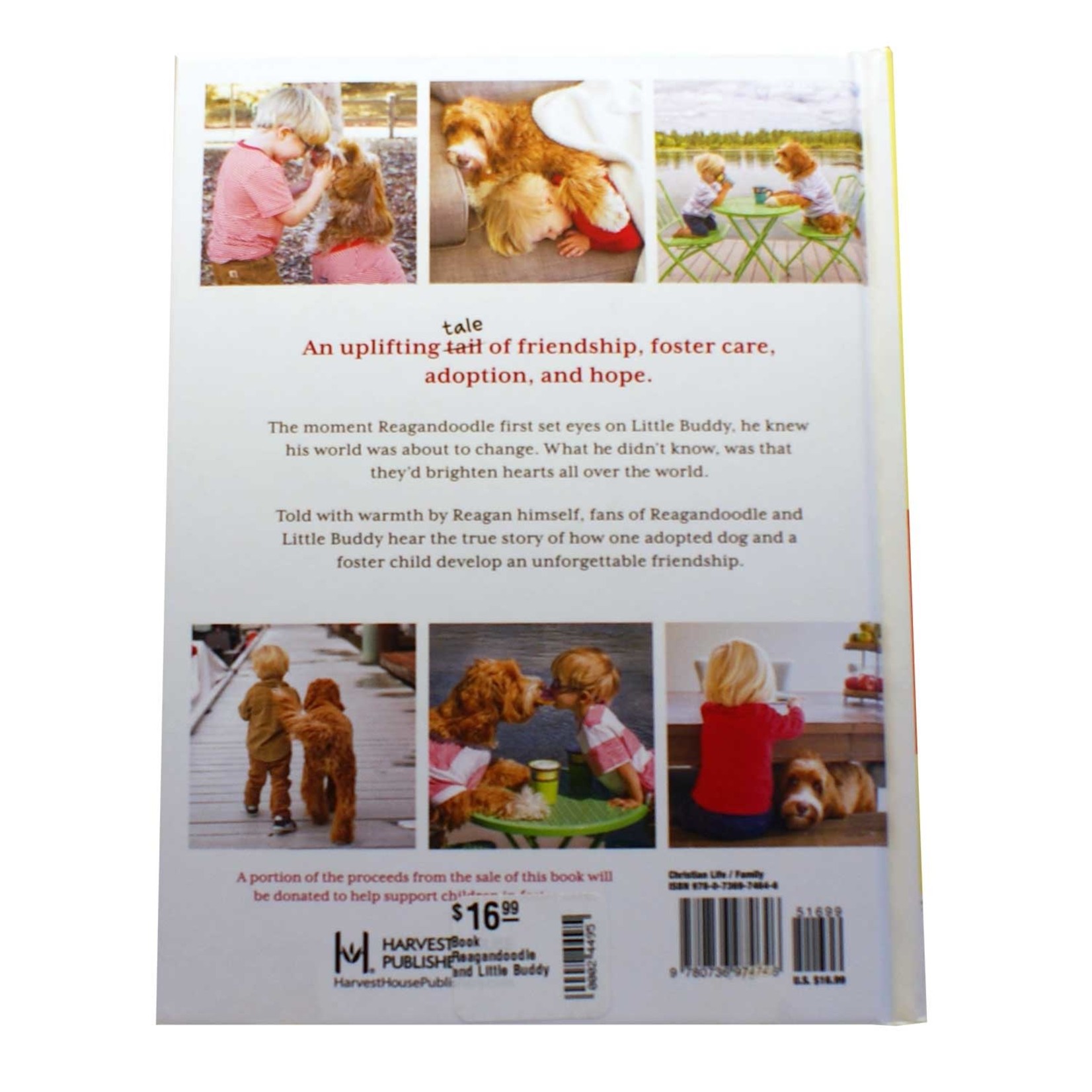 Reagandoodle for best sale sale