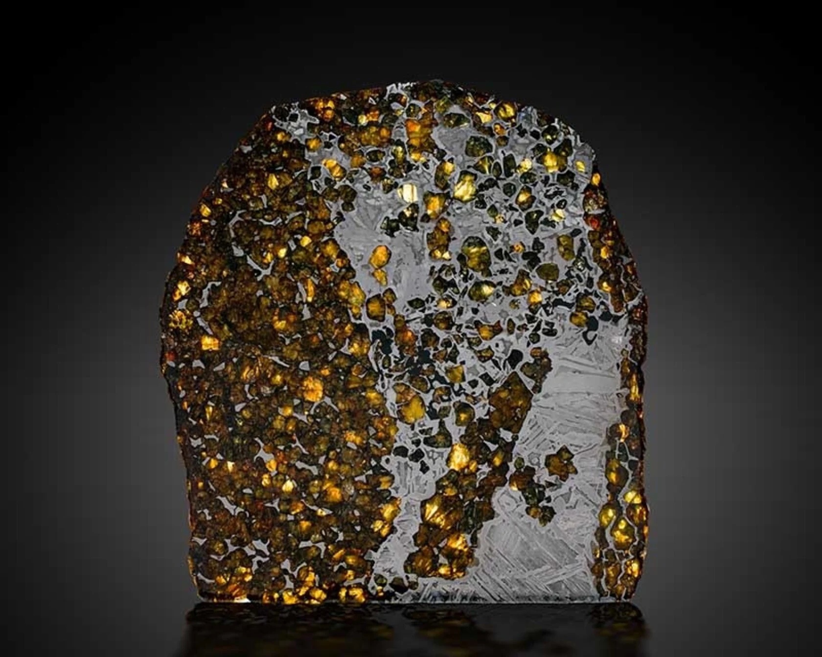 Pallasite Meteorite Specimen