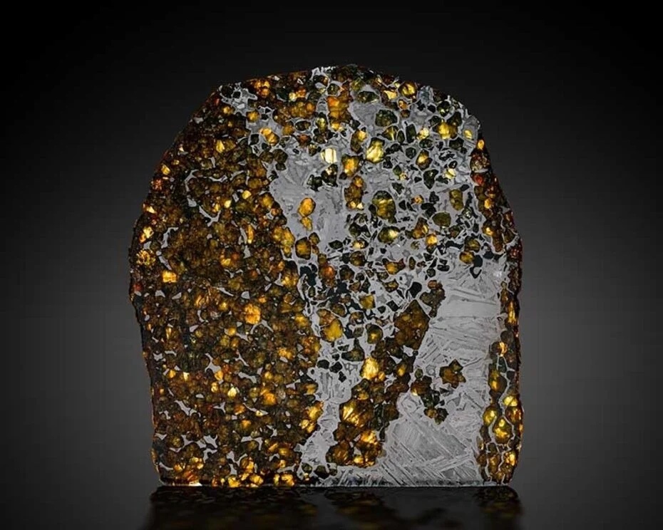 pallasite slice