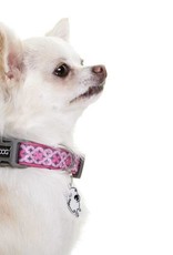 DOOG Doog | Toto Collares, Correas and Arneses