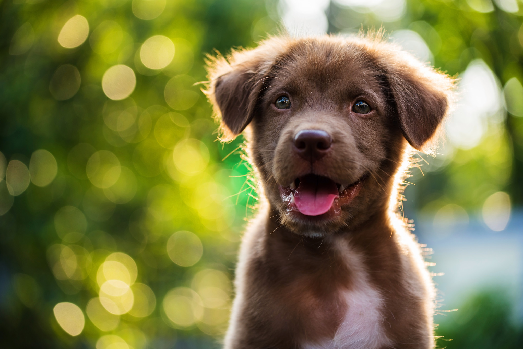 How do I get my puppy to stop biting me