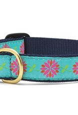 Up Country Up Country | Dahlia Darling Collars and Leashes