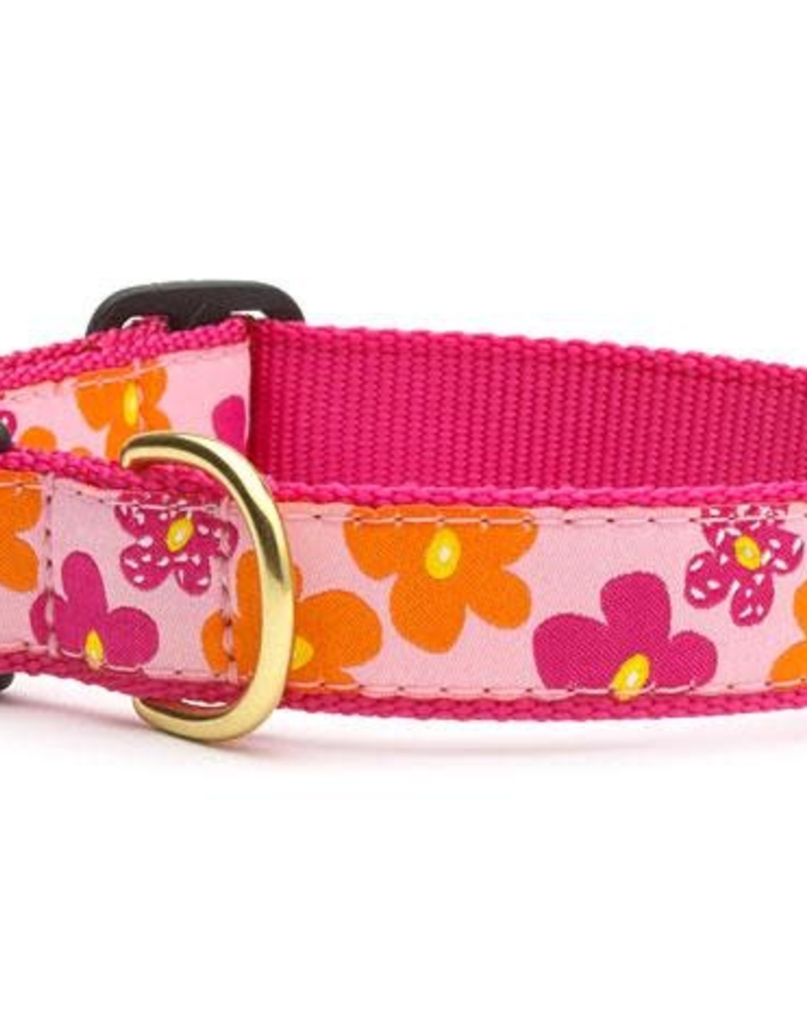 Up Country Up Country | Flower Power Collars and Leashes