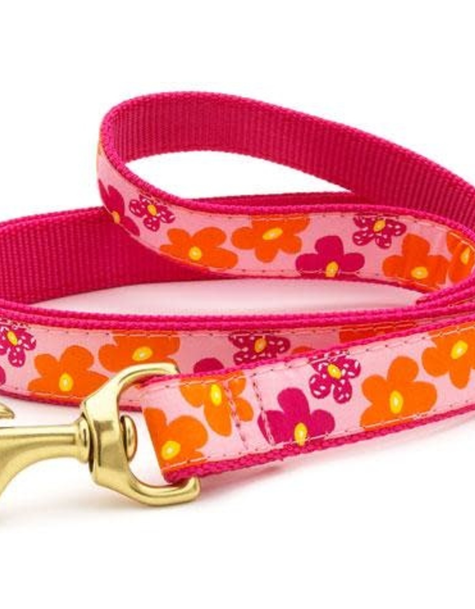 Up Country Up Country | Flower Power Collars and Leashes