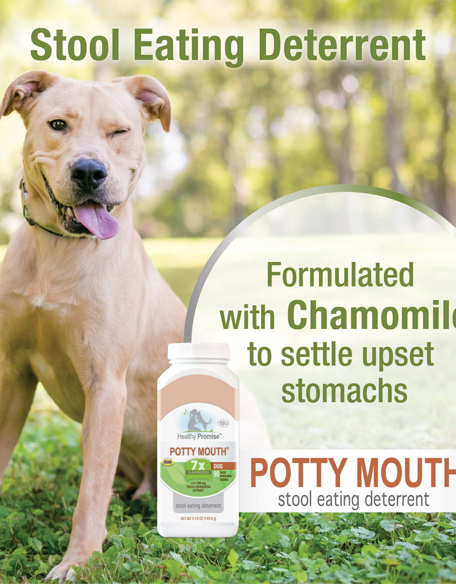 Healthy Promise | Potty Mouth