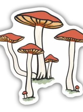 Stickers North West Stickers North West - Mushroom Cluster