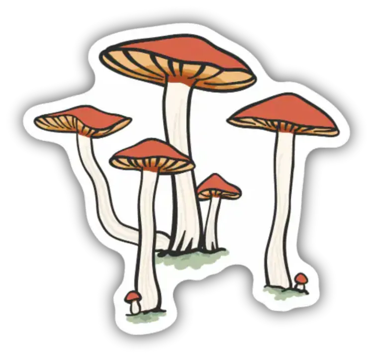Stickers North West Stickers North West - Mushroom Cluster