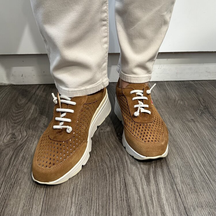 Pepe Menargues Pepe Menargues - MARIOLA 11103 Sneaker