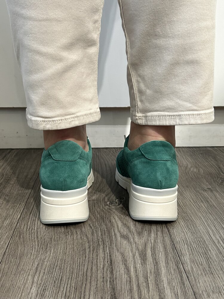 Pepe Menargues Pepe Menargues - MARIOLA 11103 Sneaker